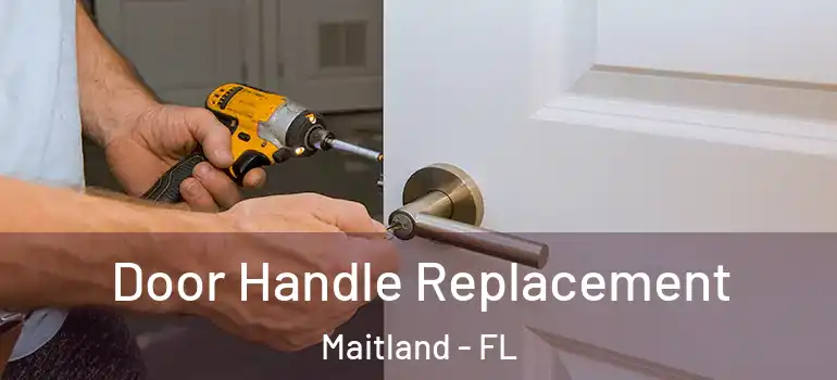  Door Handle Replacement Maitland - FL