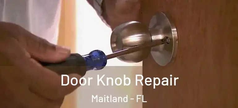  Door Knob Repair Maitland - FL