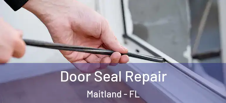  Door Seal Repair Maitland - FL