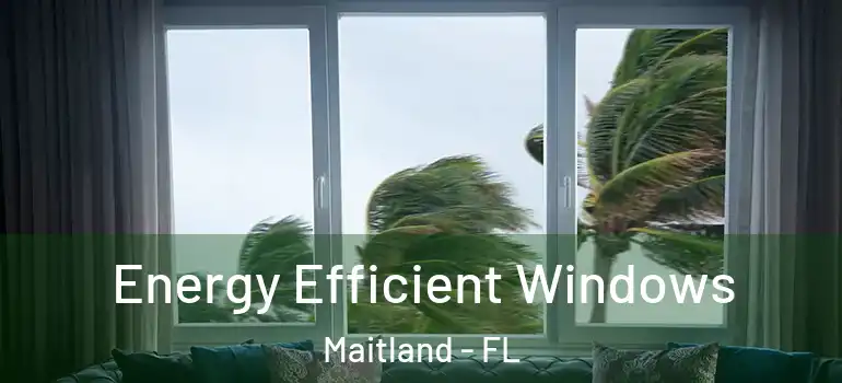  Energy Efficient Windows Maitland - FL