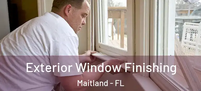  Exterior Window Finishing Maitland - FL