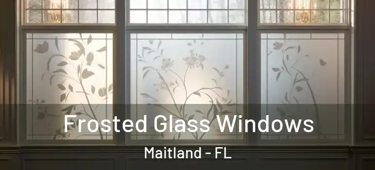  Frosted Glass Windows Maitland - FL