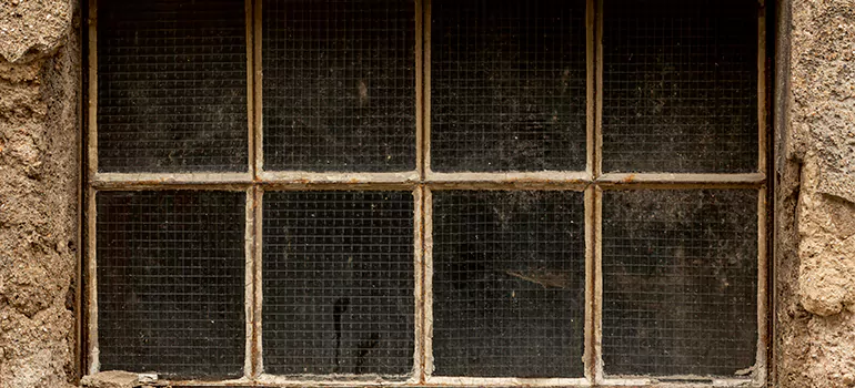 Traditional Double Front Doors in Maitland, FL