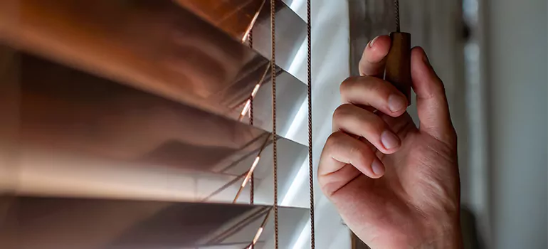 Double Roller Blinds in Maitland, FL