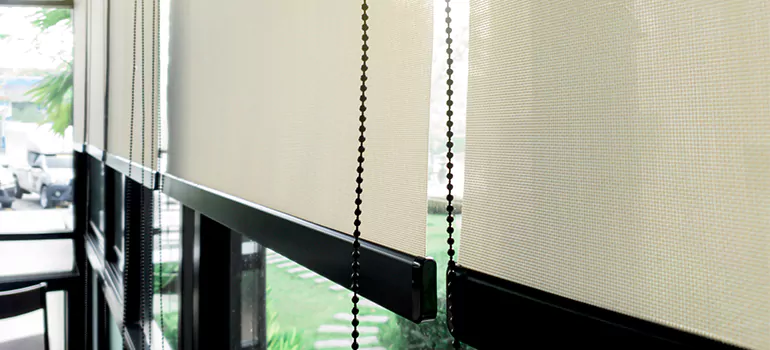 Blackout Window Shades in Maitland, FL