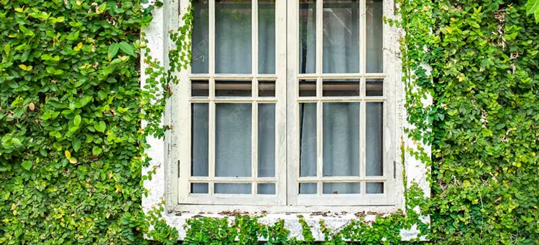 Garden Window Repair Near Me in Maitland, FL