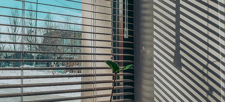 Commercial Window Blinds in Maitland, FL