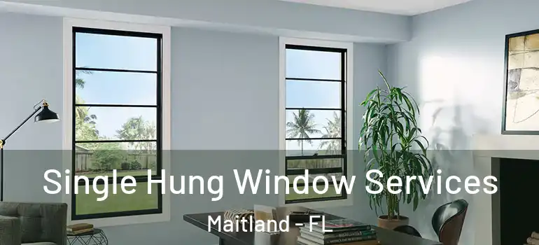  Single Hung Window Services Maitland - FL