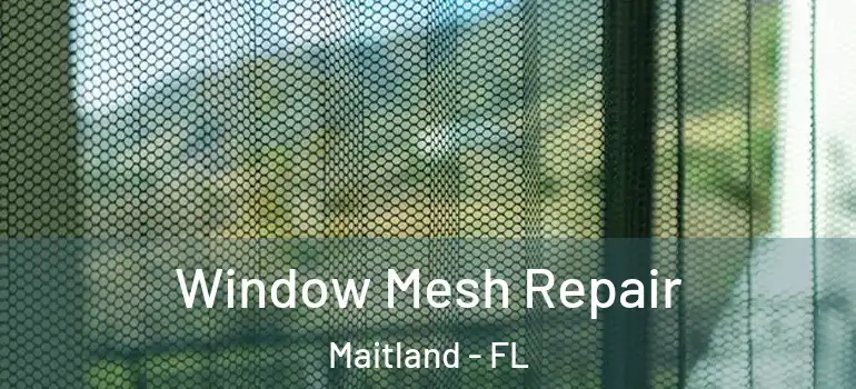  Window Mesh Repair Maitland - FL