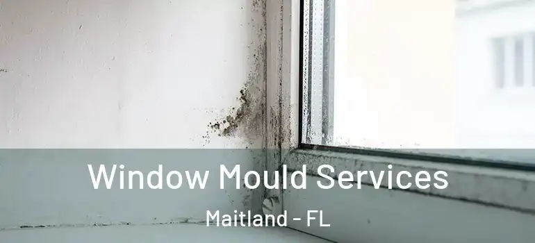  Window Mould Services Maitland - FL